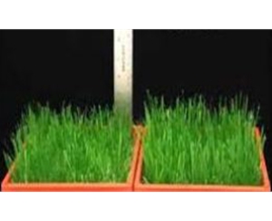 植物生產調節劑